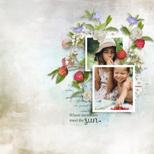 Where memories meet the sun