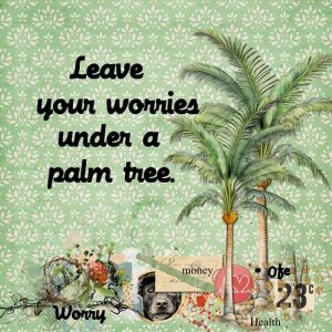 Leave your Worries