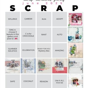 2025-06_pbp_scrapbook_bingo
