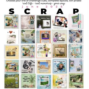 June Bingo Tracker