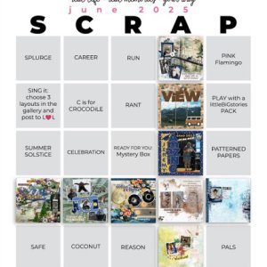 2025-06_pbp_scrapbook_bingo