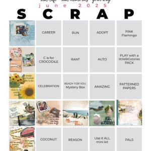 2025-06_pbp_scrapbook_bingo.jpg