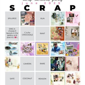 2025-06_pbp_scrapbook_bingo.jpg