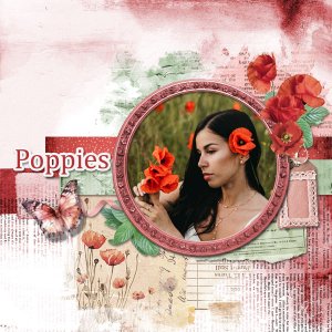 poppies.jpg