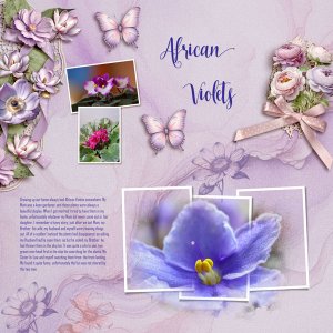 JULY-BINGO-SCRAP-STYLE----P---PLANTS---AFRICAN-VIOLETS.jpg