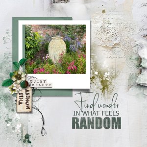 find-wonder.jpg