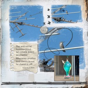Social 8x8 72.jpg