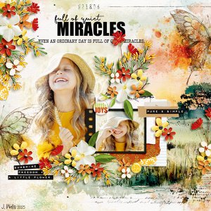 full-of-quiet-miracles