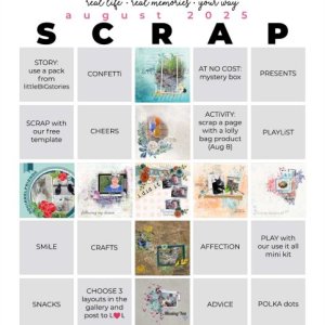 Aug 2025 Scrap Bingo