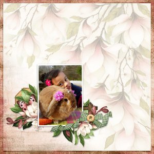 Me & My Dora 2017