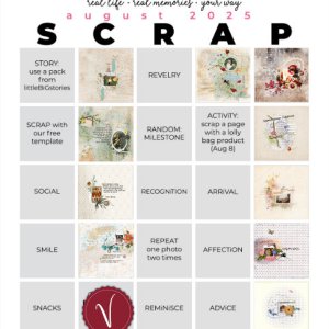 August 25 Bingo Card