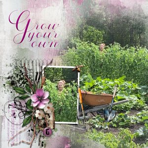Grow Your Own