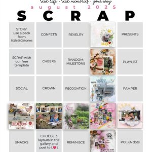 2025-08_pbp_scrapbook_bingo.jpg