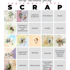 2025-09_pbp_scrapbook_bingo.jpg