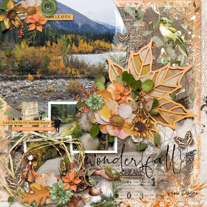 Wonder fall