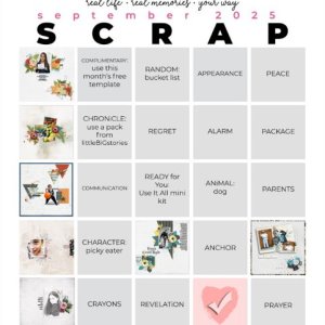 2025-09_pbp_scrapbook_bingo