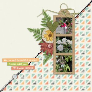 2025-09-11_Warm&BeautifulSeason
