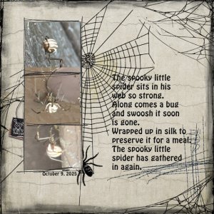 Spooky 8x8 72.jpg