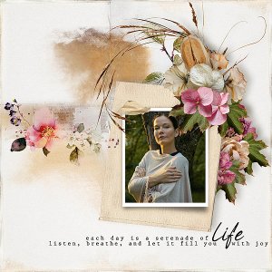 each day is a serenade of life