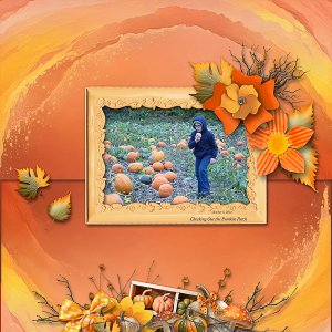 Checking Out the Pumpkin Patch