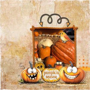 Pumpkin 8x8 72.jpg