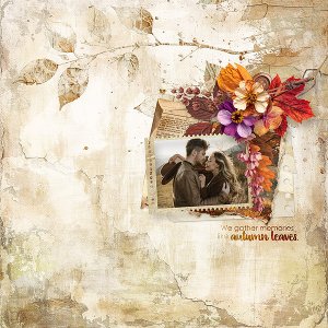 we gather memories like autumn leaves