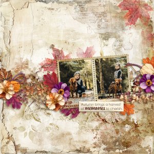 A harvest of memories to cherish