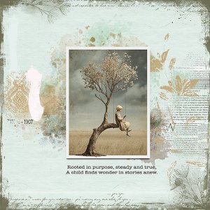 pp 2025 11 purpose.jpg