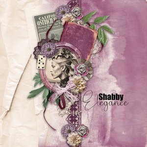 Shabby Elegance