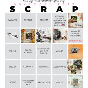 pp 2025 11 bingo card.jpg
