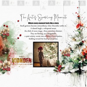 Christmas Wonder.jpg