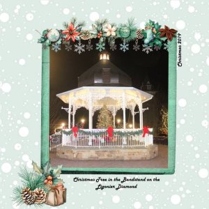 2019 Ligonier Diamond Tree