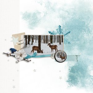 pp 2026 01 use it all.jpg