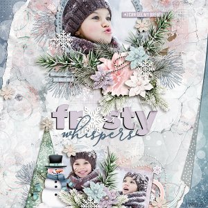 frosty-whispers