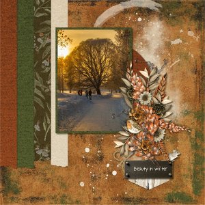 Beauty in winter.jpg