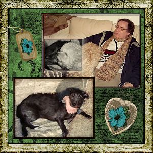 Maggi and Snuggles
