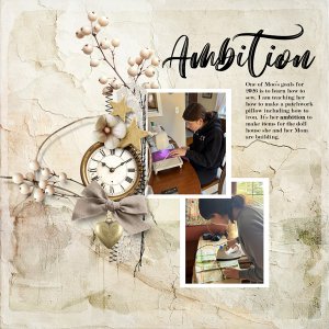 Ambition_Jan_janisn.jpg