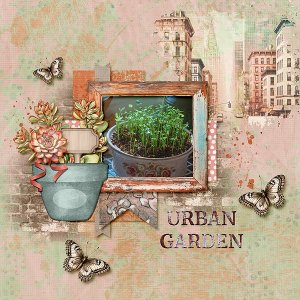 Urban Garden