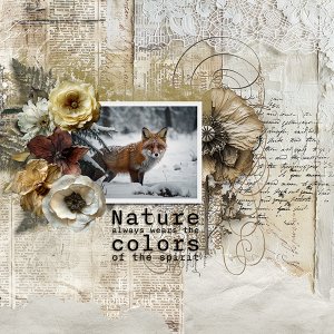 pp 2026 02 covered.jpg