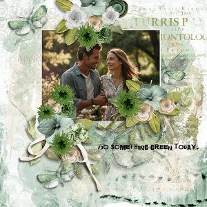 pp 2026 03 green.jpg