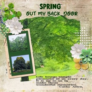 Spring Out My Back Door