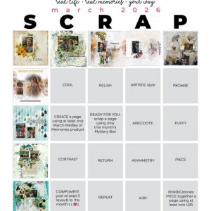 pp 2026 03 bingo.jpg