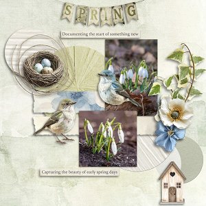 Spring.jpg