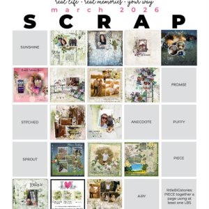 2026 March Scrap Bingo