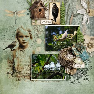 Fly into Spring