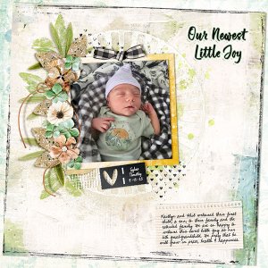 Our Newest Little Joy