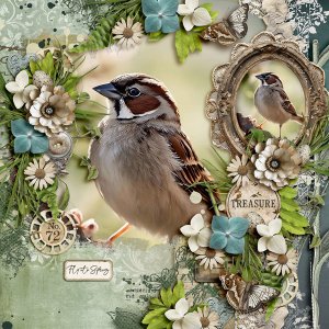 FLY INTO SPRING