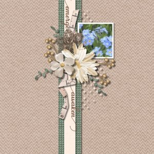 Single Line of Focus April 2