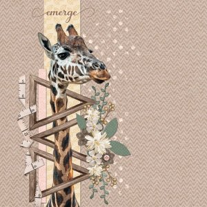 Giraffe (AOM 4/2)
