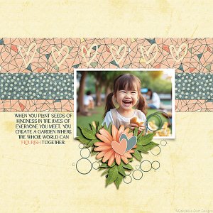 Blossom Box 0426